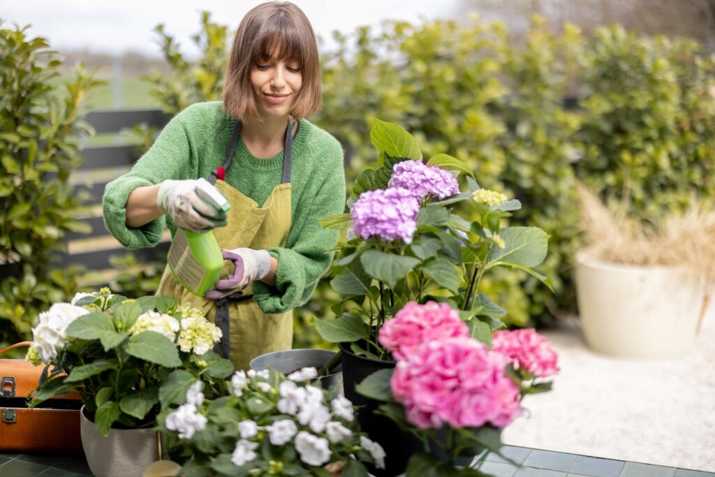 aplicativos de plantas